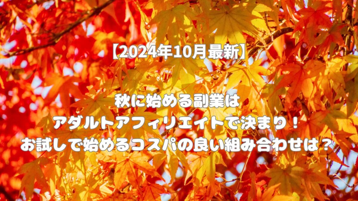 【2024年10月最新】秋に始める副業はアダルトアフィリエイトで決まり！お試しで始めるコスパの良い組み合わせは？