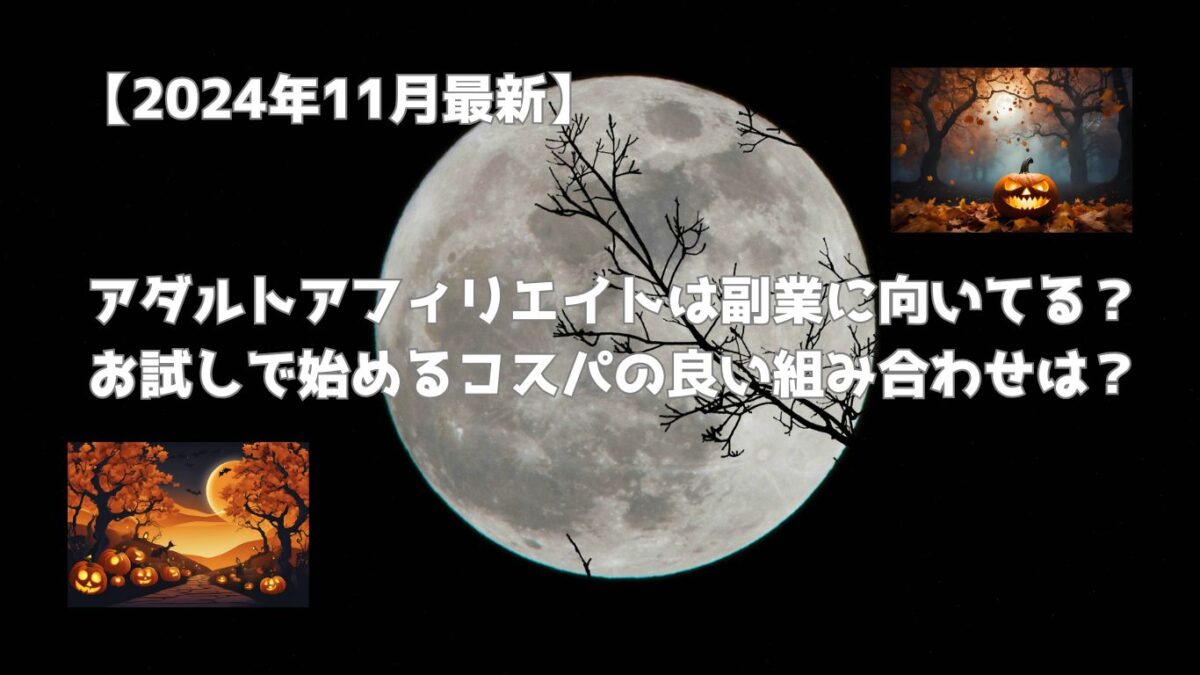 【2024年11月最新】アダルトアフィリエイトは副業に向いてる？お試しで始めるコスパの良い組み合わせは？