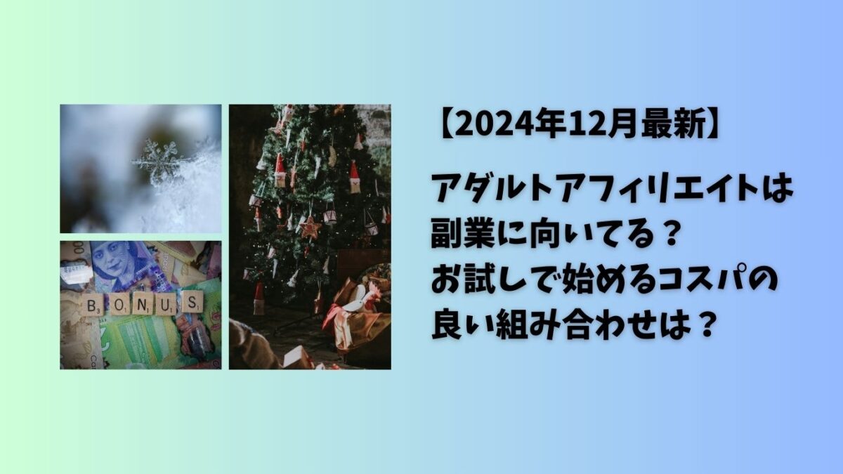 2024年12月最新】アダルトアフィリエイトは副業に向いてる？お試しで始めるコスパの良い組み合わせは？