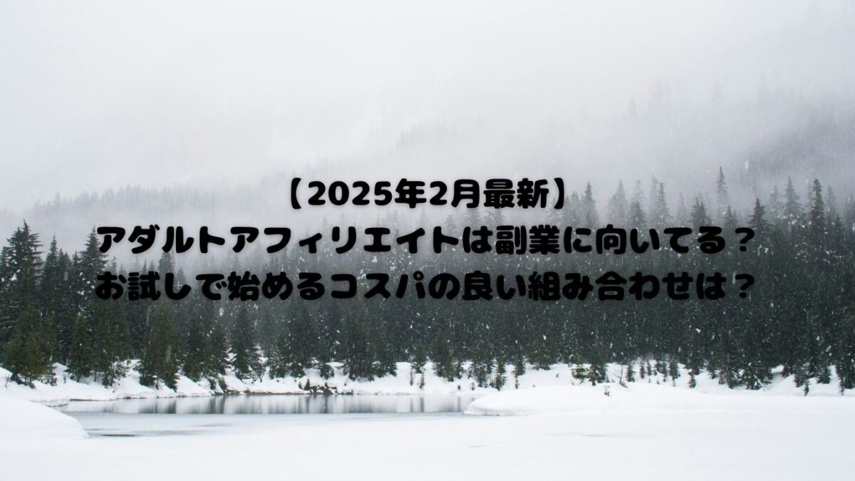 【2025年2月最新】アダルトアフィリエイトは副業に向いてる？お試しで始めるコスパの良い組み合わせは？