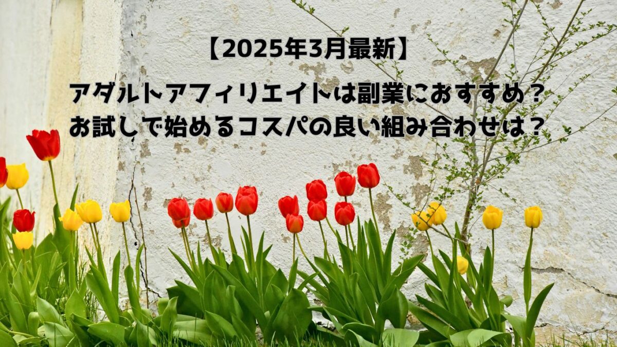 アダルトアフィリエイトは副業におすすめ？お試しで始めるコスパの良い組み合わせは？【2025年3月最新】